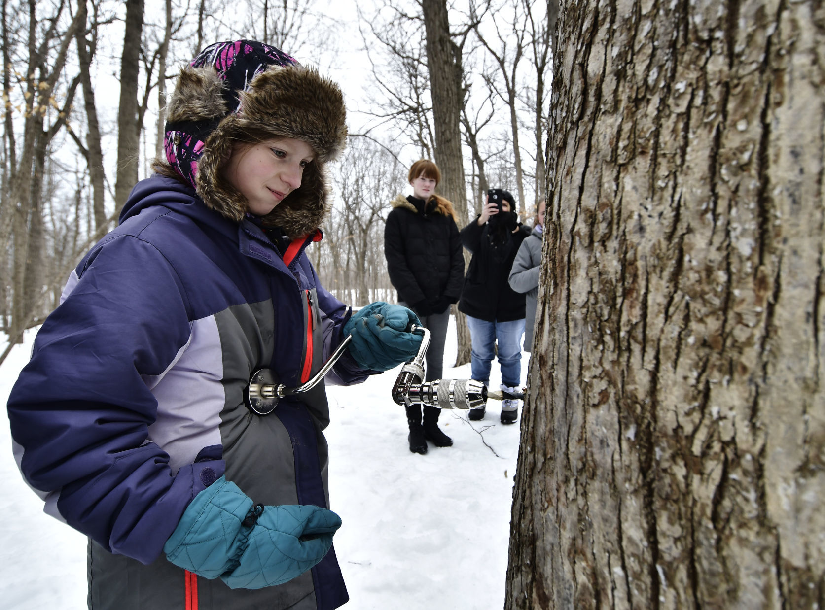 SUGAR MAPLE HIKE